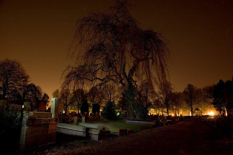 Cemeteries in South San Francisco, CA