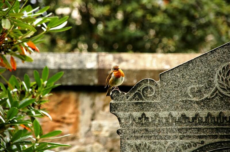 cemeteries in San Mateo, CA
