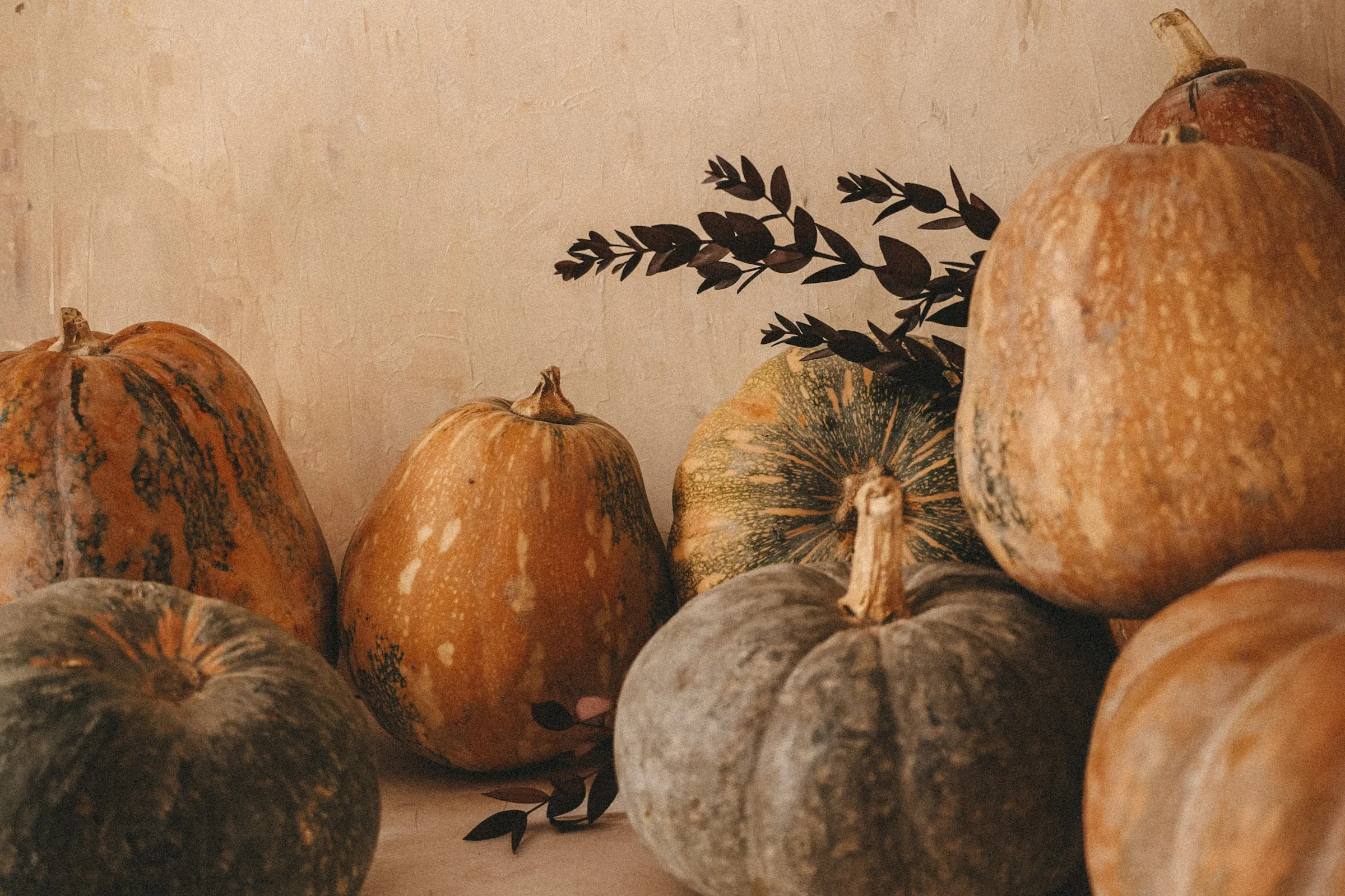 several orange and pale green pumpkins and gourds in front of a pale beige stucco wall