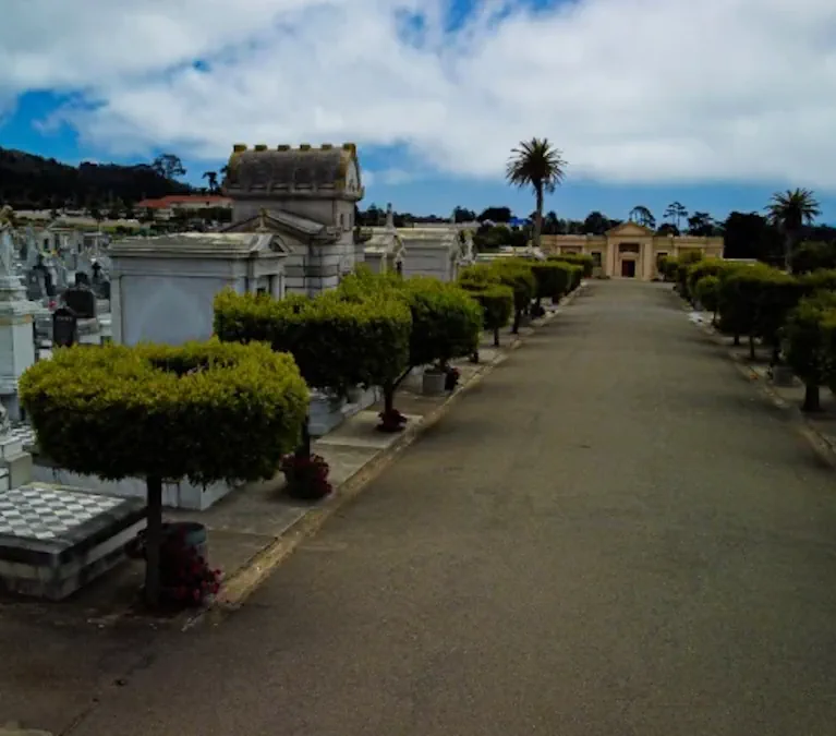 cypress-avenue Cemetery road leading up to a mausoleum structure, lined on both sides by trimmed cypress trees