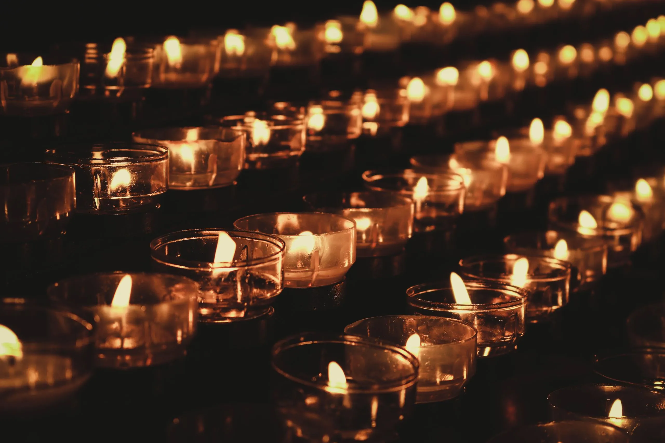 rows of lit memorial candles
