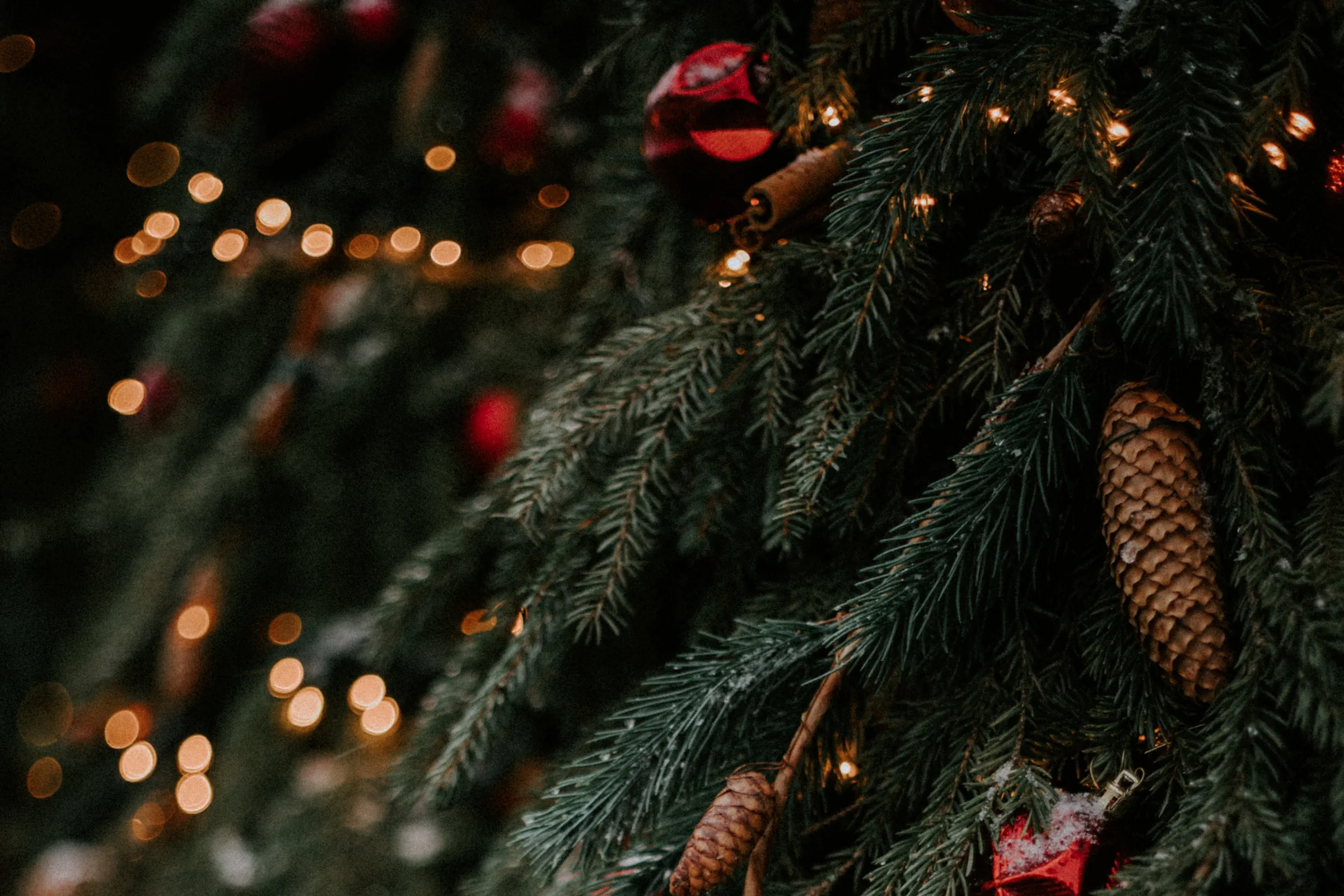 close up image of pine boughs with red ornaments and pinecones